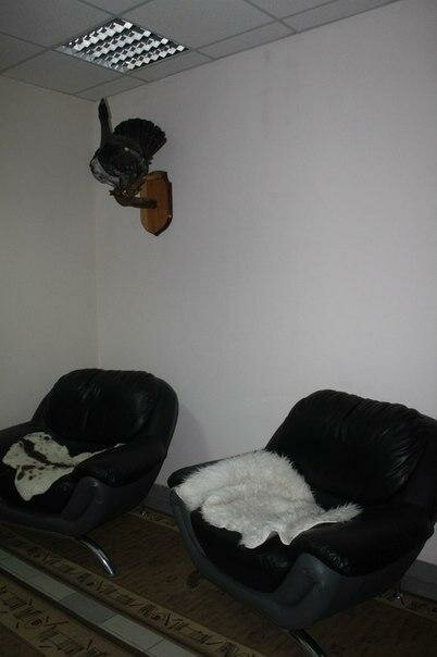 Гостиница Европа Ульяновск-75